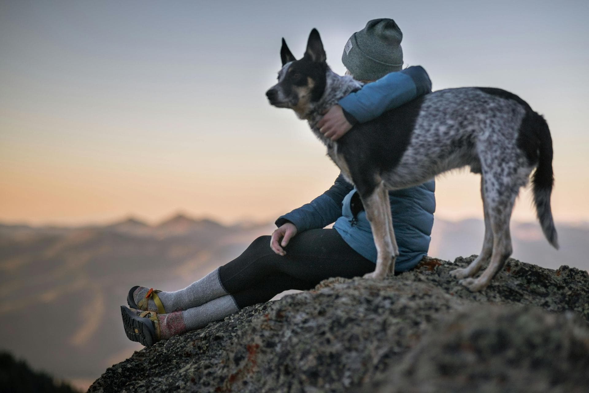 Dog & Cat Vets in Norfolk